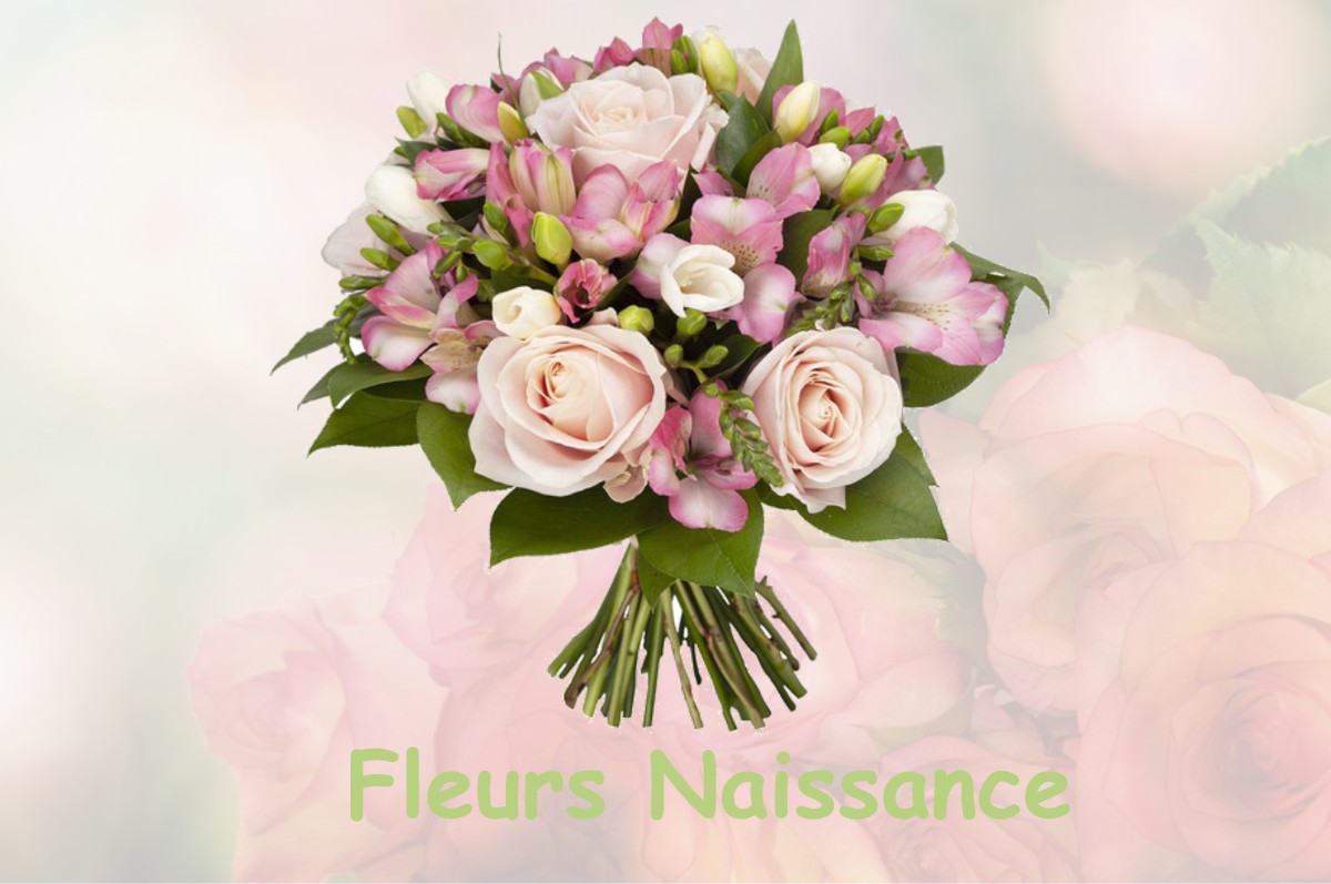 fleurs naissance CARAMAN