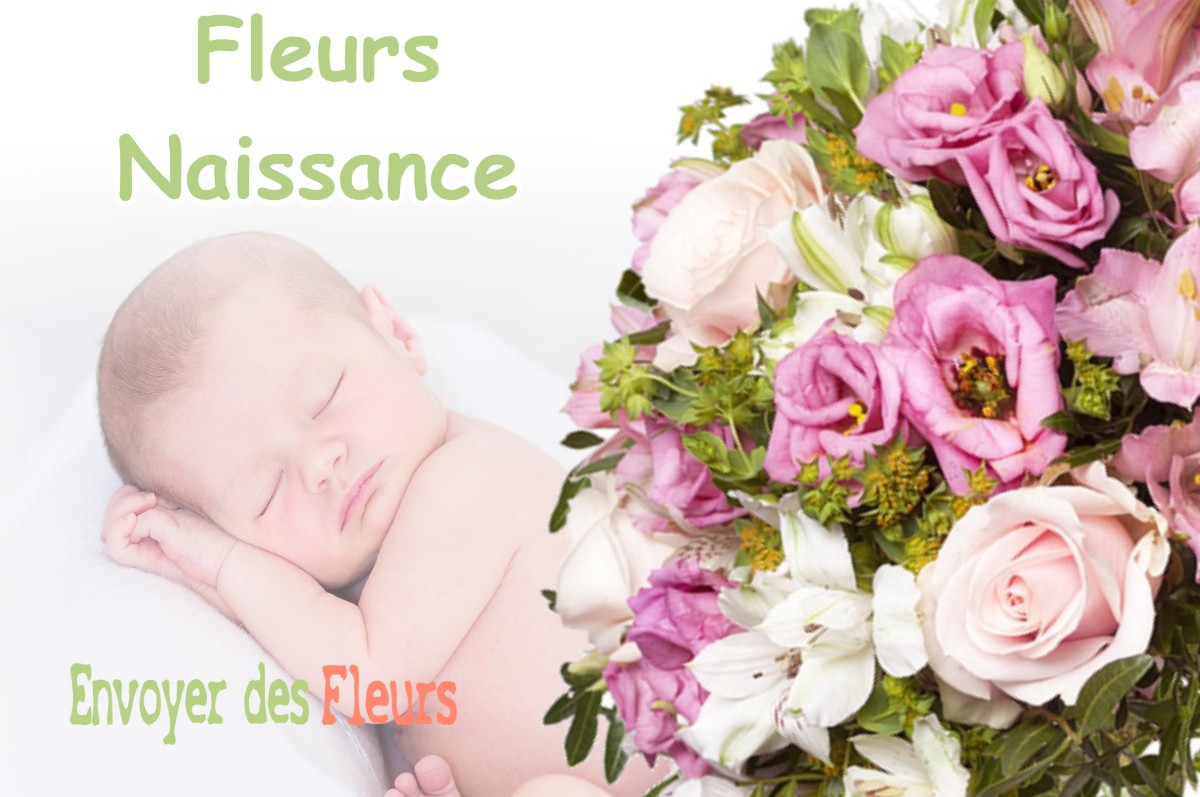 lIVRAISON FLEURS NAISSANCE à CARAMAN